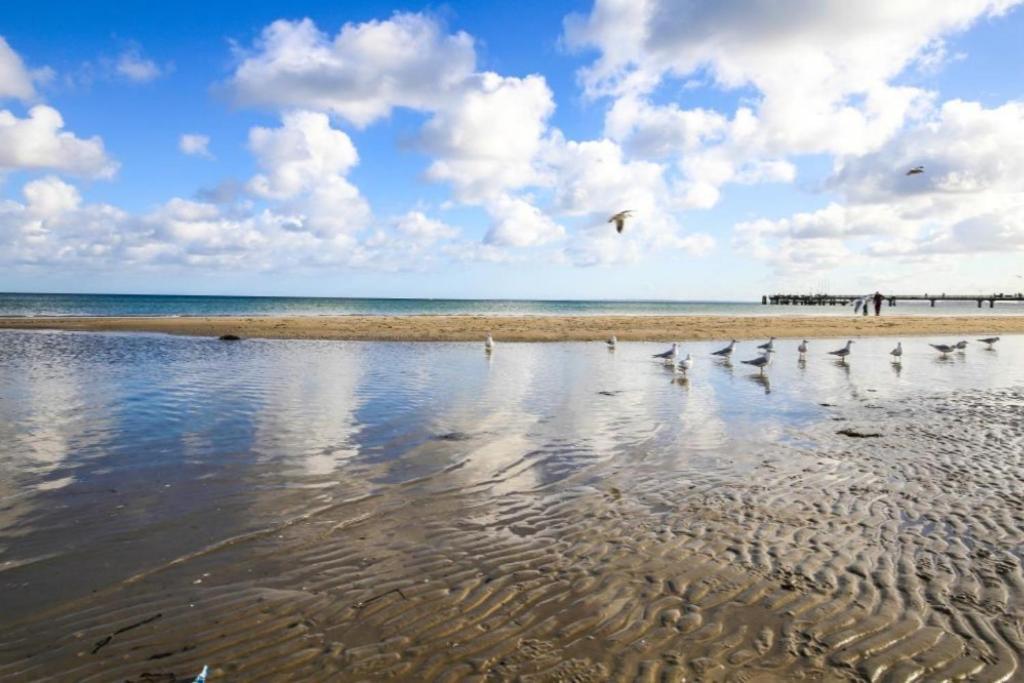 Ferienwohnung Seesternchen 1 Scharbeutz Exteriör bild