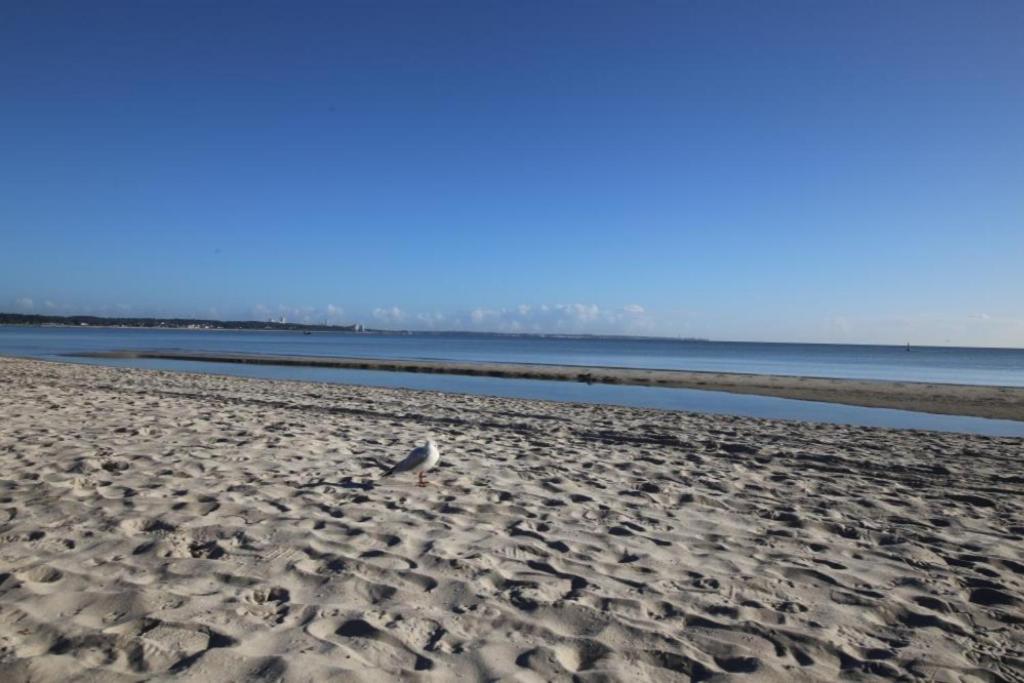 Ferienwohnung Seesternchen 1 Scharbeutz Exteriör bild